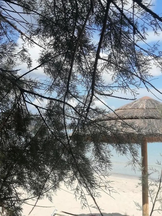 Appartement La Finestra Su Stintino