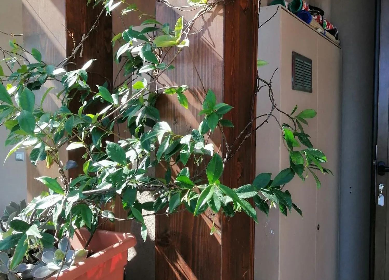 La Finestra Su Stintino 0*,